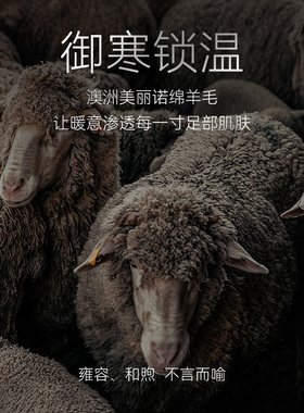 锦行记袜子女羊毛秋冬过膝袜保暖微压显瘦植物抗菌女士长袜礼品装