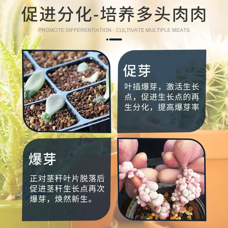 多肉优芽素爆芽素优牙素营养液矮壮素矮胖素促多头生根专用催芽素