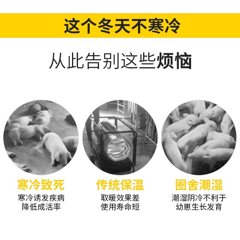 电热板兽用不锈钢电热板仔猪小猪宠物加热保温板养殖产床保温箱