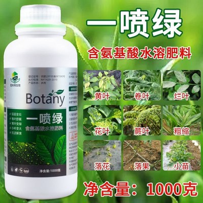 黄叶一喷绿植物叶绿素花卉营养液含氨基酸叶面肥柑橘果树蔬菜通用