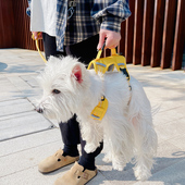 狗狗胸背带牵引绳遛狗外出神器小狗牵狗绳狗链宠物猫咪背心式 比熊