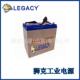 德国WING蓄电池ESH100 12仪器12V100AH机械臂照明系统