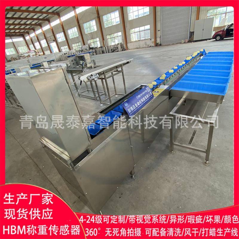 血橙自动分级机青柠滚轮直线式重量选果机砂糖橘大小分选机