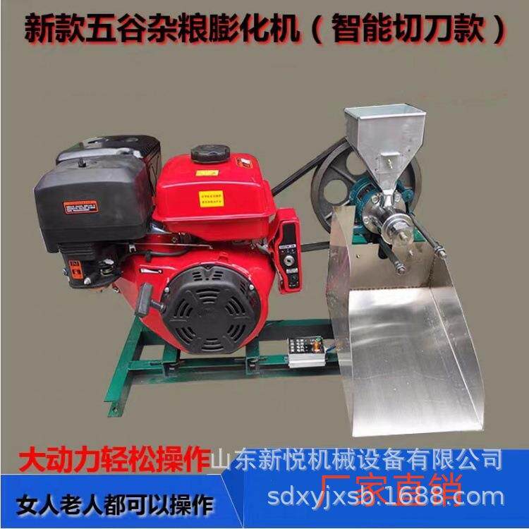 汽油双头杂面粉膨化能多功双螺杆挤压膨化机五谷LSS杂粮粮机膨化