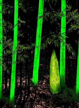 户外玻院璃钢雕塑夜光景lsds41观灯仿装真发光竹子庭绿化饰灯灯竹