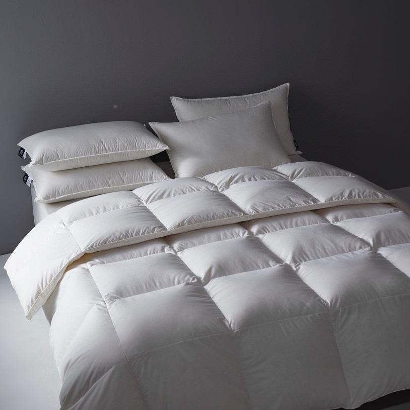 卢布林1鹅绒加被秋厚冬季保暖柔软静音冬春被裸睡双人YY秋被芯