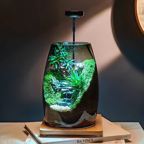 成功之路景观瓶生命之树创意苔藓微摆件办公室桌面缸绿植造景盆景