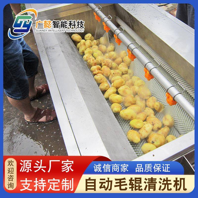 姜DBT不辣土豆毛辊清萝机不锈设钢去皮清洗机设备洗胡卜去皮机备