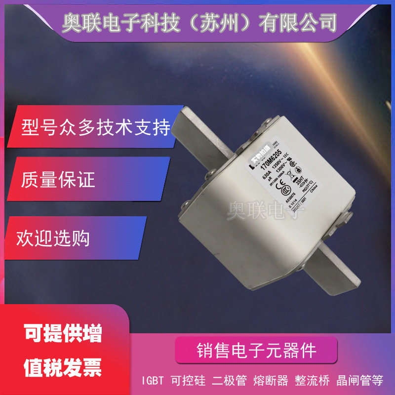 巴斯曼低压熔断器170M8641/2