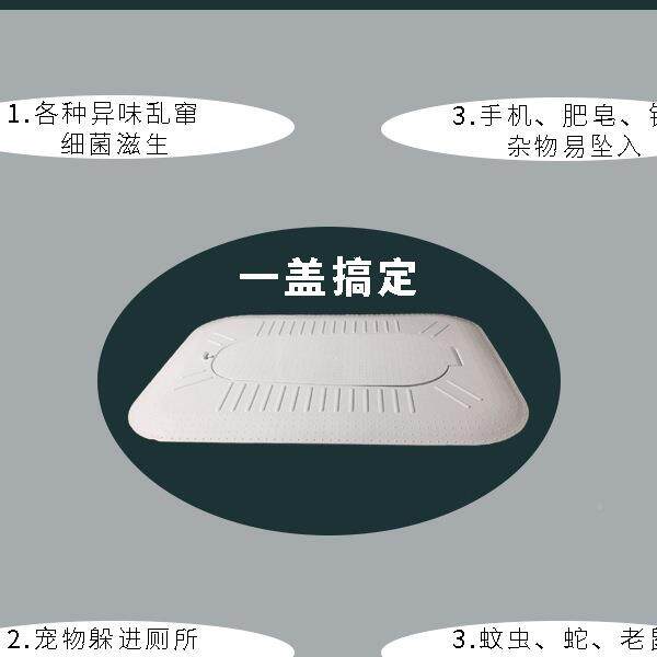 蹲TQB便防臭滑封闭式器盖板坑防臭堵器蹲卫生间洗澡厕所挡一板健