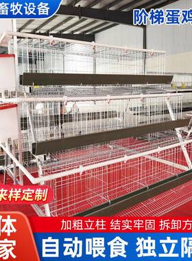 镀锌三层四门阶梯式蛋鸡镀畜密牧大度养殖提高产蛋量锌笼养LLB鸡