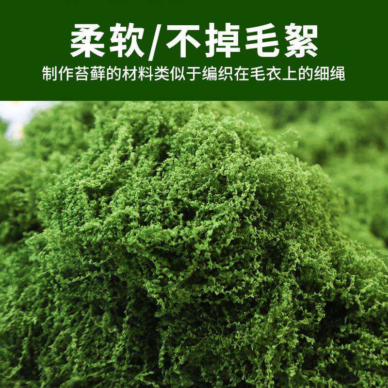 仿真坪丝状藓苔造草羊毛藓植物人ZPI微景观布置假山盆栽造景