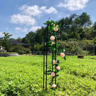 简易花架爬藤架铁线莲攀爬花架绿萝铁艺柱形花支架月季 花欧月户外