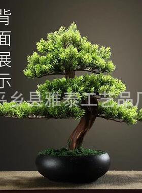 仿关真迎客盆景摆件新中式玄柜办公室TYD软景观客厅酒柜松植物装