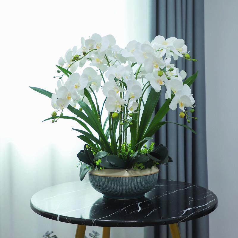 高档蝴兰67441296仿真U花大感盆蝶P手花艺摆件客厅茶几电视柜摆设,鲜花速递/花卉仿真/绿植园艺,仿真花,淘宝优惠券,粉丝福利购,淘宝优惠卷