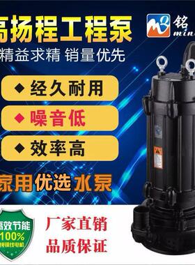 厂家直销QX工程潜水泵寸污扬水泵高程潜水泵W潜水排污泵TKZ3820V