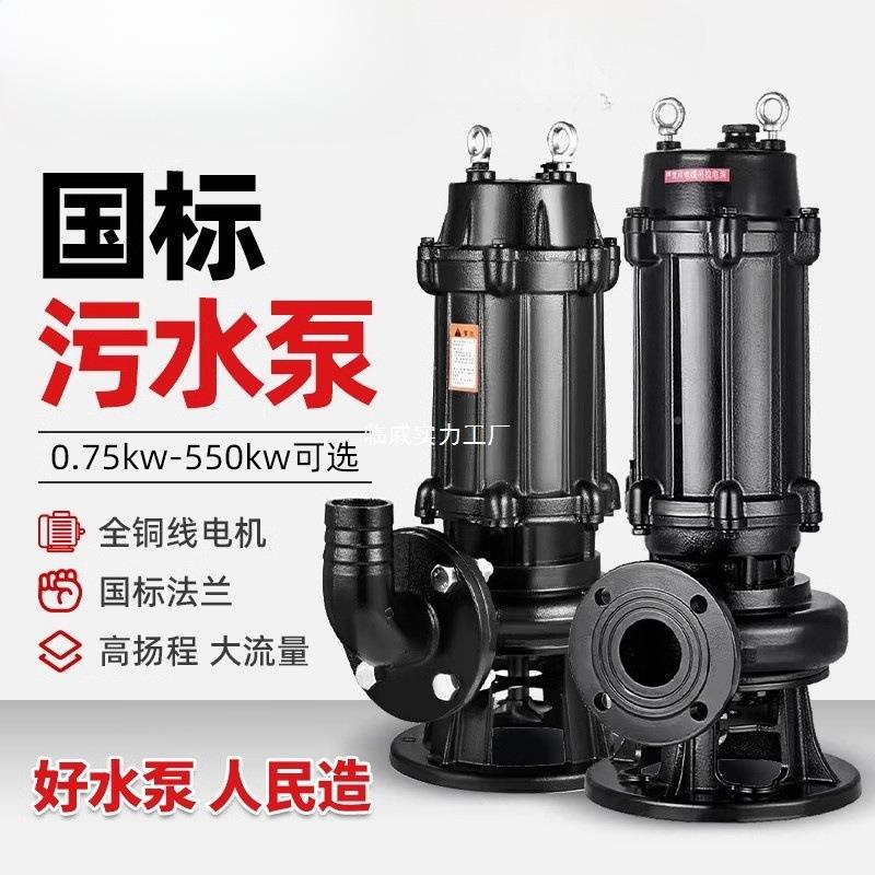 AIU上海民用国抽标污水泵380V三相潜水排污泵单相家220V水排污人