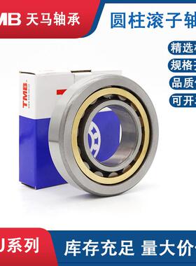 双DQM挡边床圆柱滚子轴轴承NJ220E机主振动筛轴承N2U20EM天马TMB