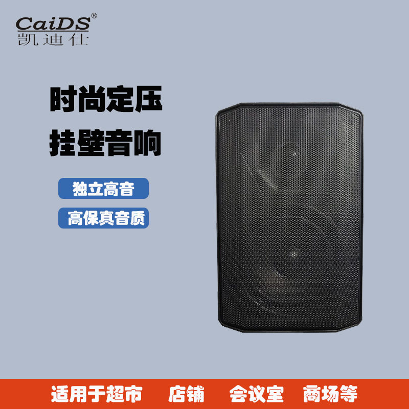 公共广播音乐定压音箱壁挂音响功放机有线扩声带功餐厅户外带功放