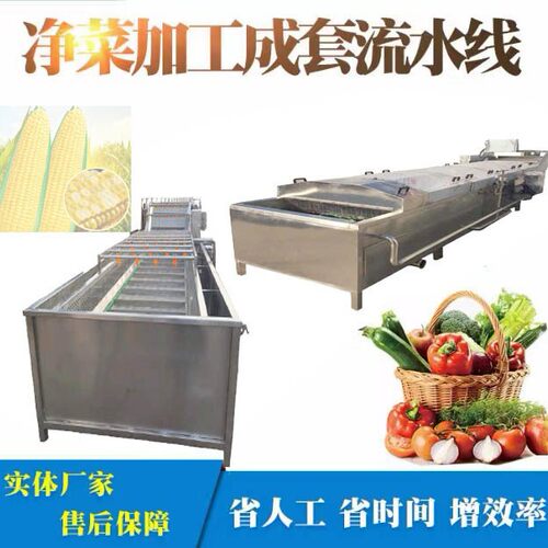果蔬气泡清洗机定 制水果气浪式清洗机柑橘高压气泡清洗机械设备