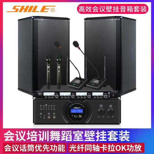 会议培训室音响套装狮乐BX108背景音乐8英寸壁挂音箱OK555B功放