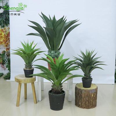 仿真黄冠兰盆栽欧式家居装饰假植物龙舌兰剑叶人造植物现货