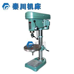 钻钻19孔台钻 钻床小台钻专业生产台式 现货直销ZX 19G台钻台式