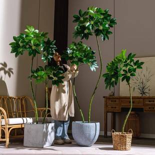 仿真保罗大叶伞绿植室内客厅仿生假树植物黑金刚橡皮榕装饰摆件树