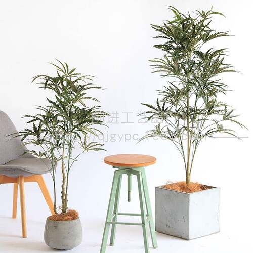 仿真绿植孔雀木假树盆栽室内客厅落地仿真植物假树假绿植真