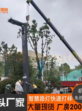 市电路灯市政高速公路道路照明灯生产6米8米10米LED路灯
