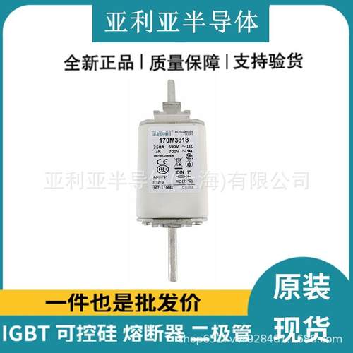 170M3818电流保护装置高压陶瓷熔断器底座电子元器件原标现货