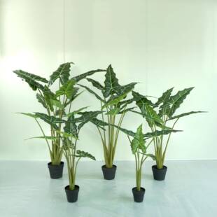 北欧仿真萨利安海芋绿植盆栽黑白犀牛大仙女海芋网红观景落地装饰