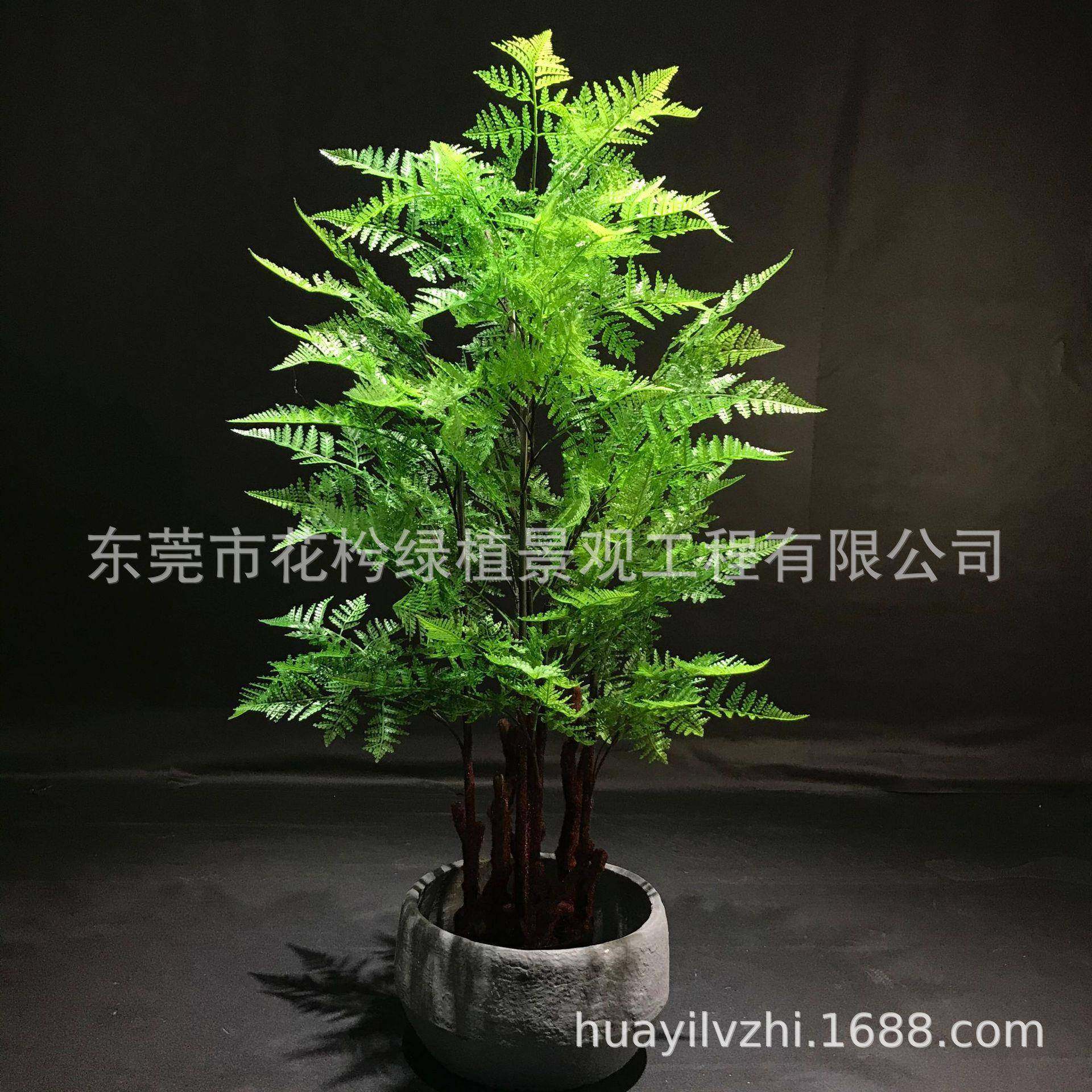 仿真蕨树马尾蕨草盆栽小树仿真绿植仿真波斯草树物盆栽家居装饰,电子元器件市场,其它元器件,淘宝优惠券,粉丝福利购,淘宝优惠卷