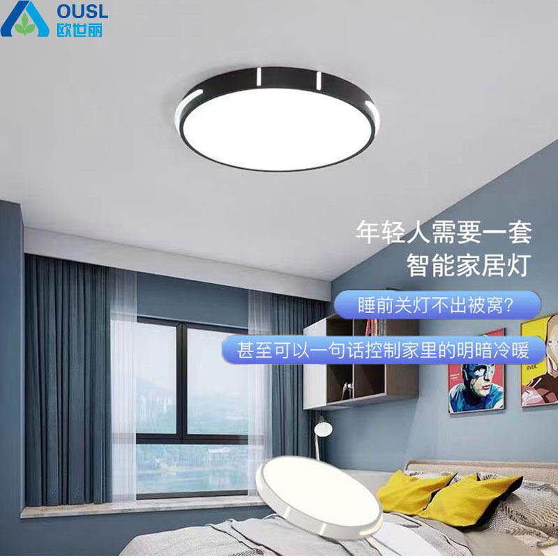 高亮led照明吸顶灯简约现代超薄现代客厅灯餐厅卧室家用书房灯具