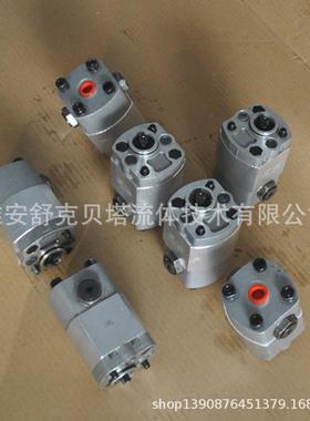 SKBT-3.2-LF液压双向齿轮泵