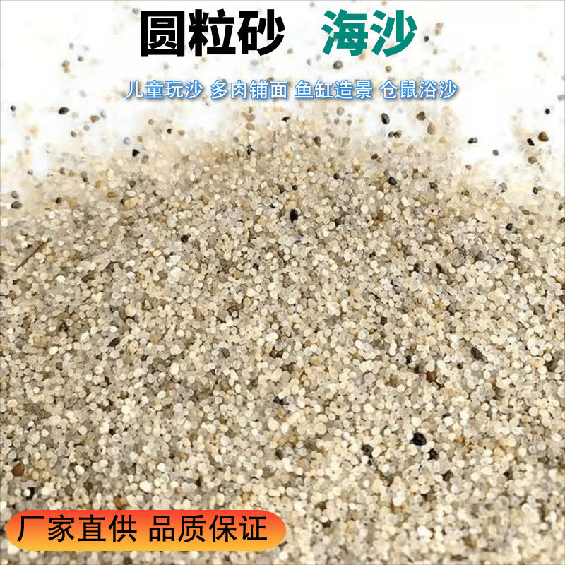 海沙圆粒砂儿童娱乐沙游乐场幼儿园沙池用海砂水洗无尘白色沙子