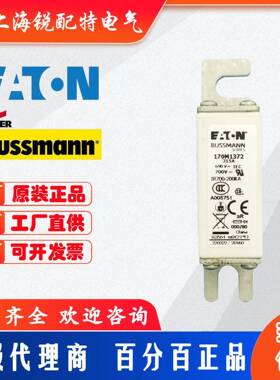 170M快速熔断器1364/1365/1366/1367/1368/1369/1370/1371/1372