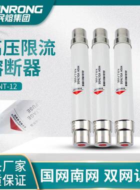 高压限流熔断器成套箱变保险管丝XRNT-10/12KV高分断能力PT风电用