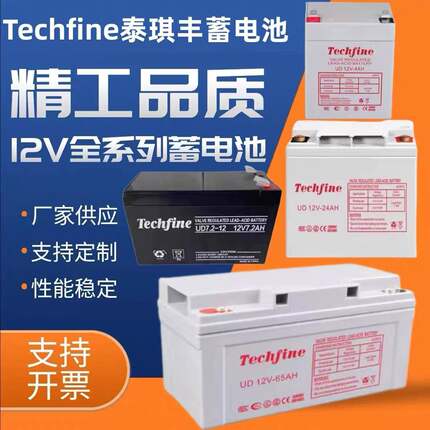 Techfine泰琪丰蓄电池UD12V100 24 38 40 65 120AH机房直流屏专用