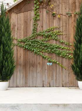 Artificial Cedar Topiary Trees For Outdoors 3ft/4ft/5ft