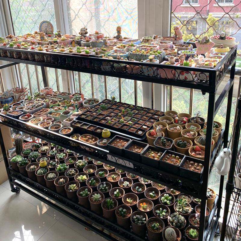 阳台植物花架置物架室内飘窗台挂灯多层多肉落地可移动带轮子