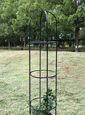 铁艺玫瑰架月季花柱架铁王线莲爬藤架攀藤植EHN盆物架子花支杆鸟