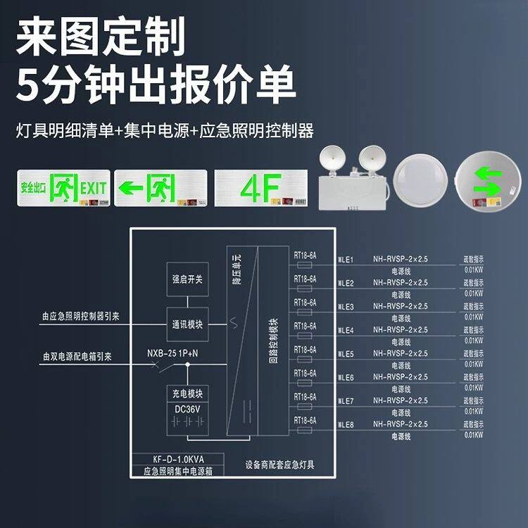 A型应急照明集中电源DC36V控制器24V灯具装置EPS主机消防分配电箱