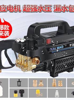 铜线凯猫洗车机压自吸洗车22v0家用大器功率刷75064车水高泵便携