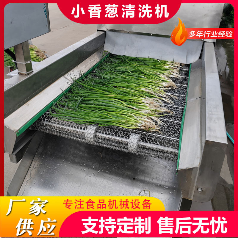 商用蒜苗高压喷淋清洗机中央厨房洗菜洗葱机预制菜净菜清洗机设备
