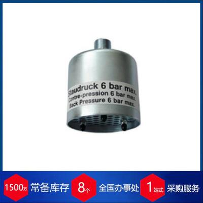 德国riegler双作用气缸5.DMD.32025磁性活塞和集成缓冲工业用