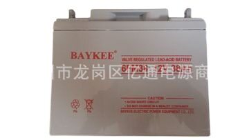 柏克BAYKEE蓄电池6FM38应急UPS电源专用12V38AH免维护铅酸蓄电池