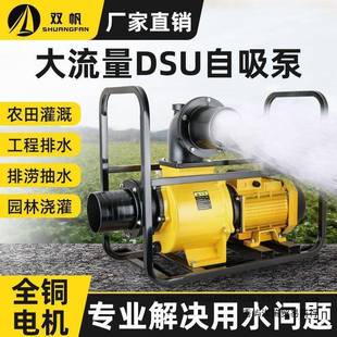 双帆农用灌溉抽水泵DSU高扬程220v3寸380v家用大口径大功率抽水机