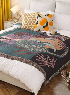 in风插线毯露毯休闲QSLB001营毯午睡毯盖毯美式沙s画发毯野餐毯床