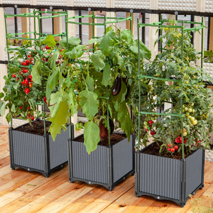 栽树专用箱特深种j树箱果树盆楼顶神器盆栽树特大号种植菜箱大花